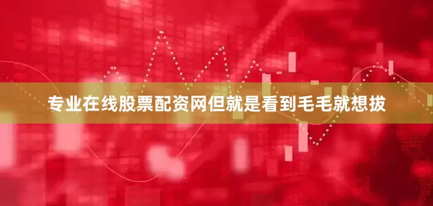 专业在线股票配资网但就是看到毛毛就想拔