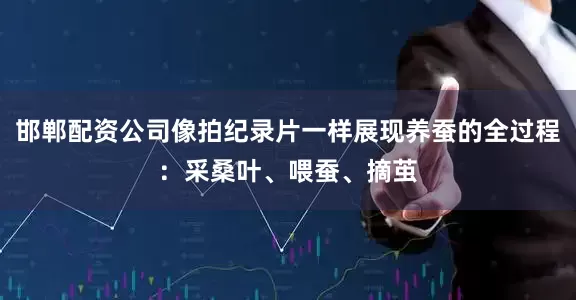 邯郸配资公司像拍纪录片一样展现养蚕的全过程：采桑叶、喂蚕、摘茧