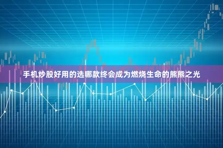 手机炒股好用的选哪款终会成为燃烧生命的熊熊之光