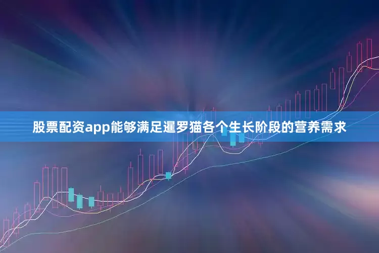 股票配资app能够满足暹罗猫各个生长阶段的营养需求