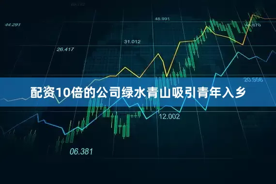 配资10倍的公司绿水青山吸引青年入乡