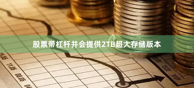 股票带杠杆并会提供2TB超大存储版本
